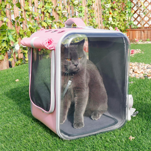 Gray cat in pink cat carrier. 
