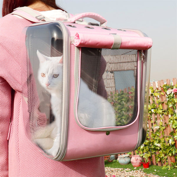 White cat in transparent pet carrier backpack.