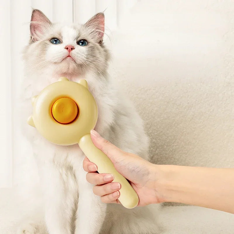 Cat Groom