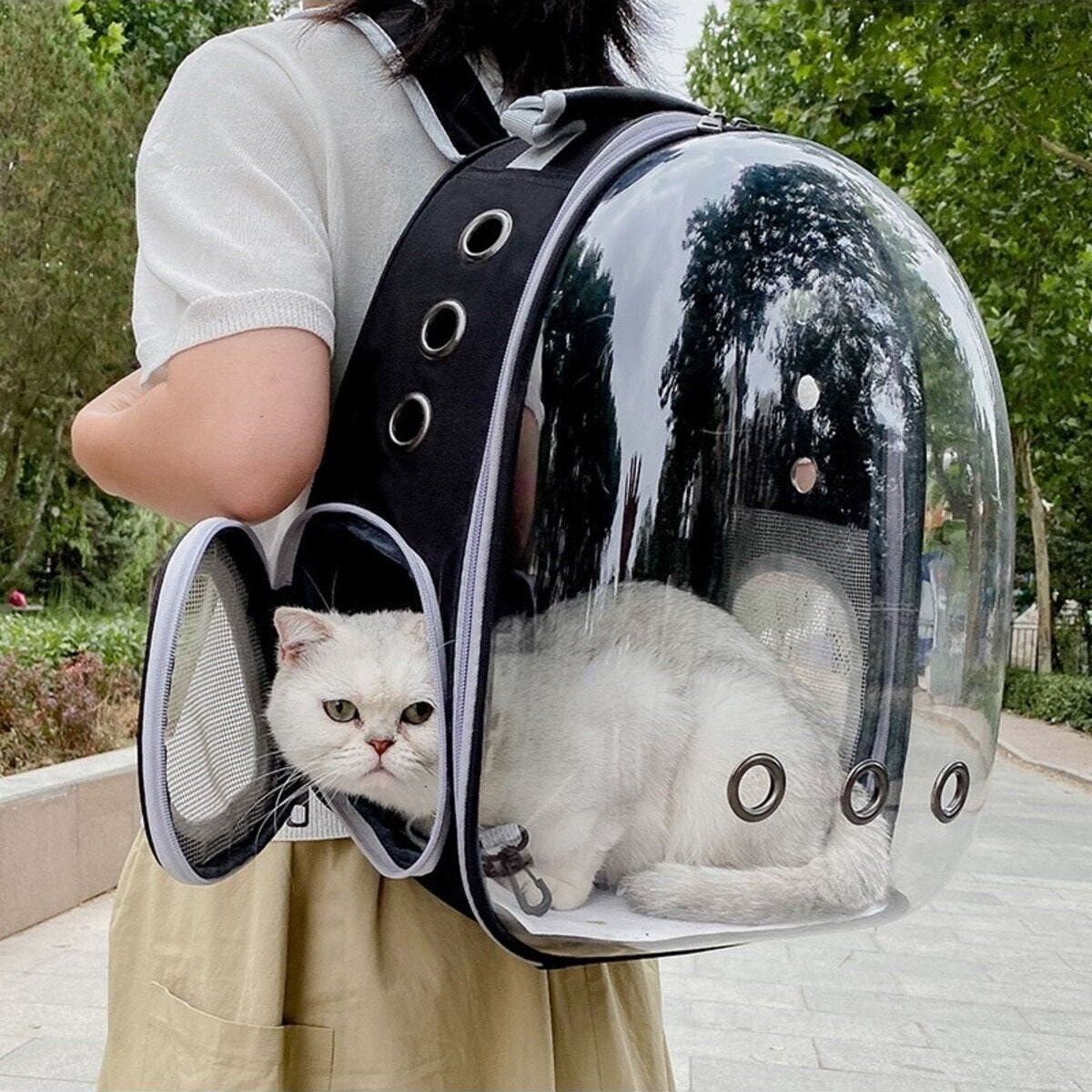 Cat Travel