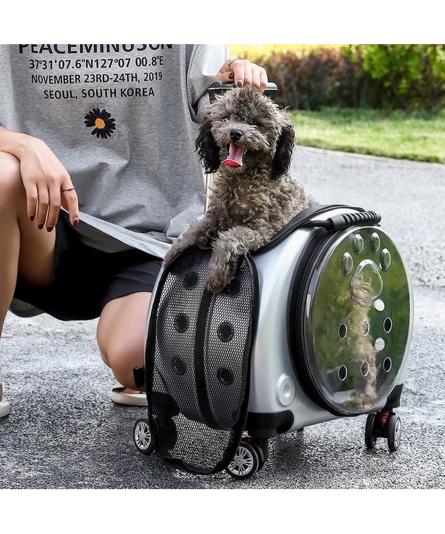 Space Capsule Hard Shell Rolling Pet Carrier