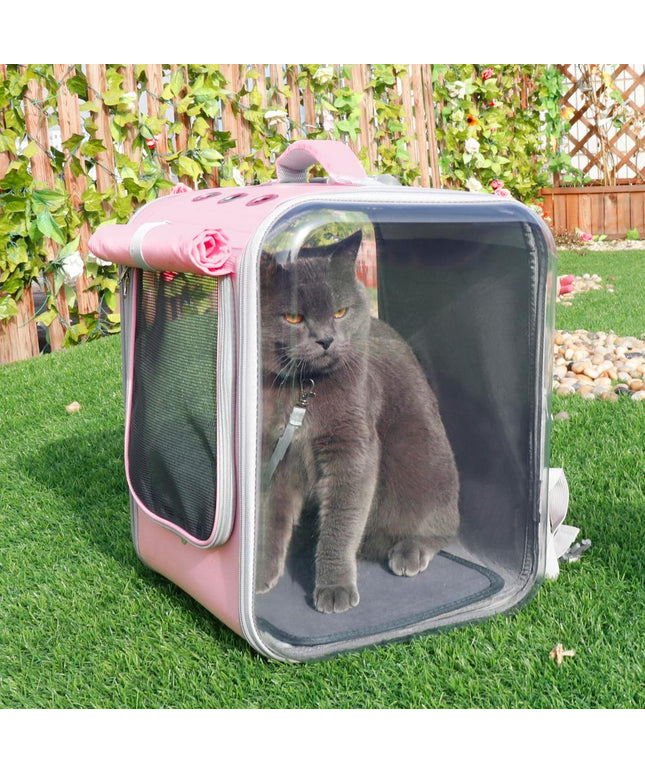 Gray cat in pink cat carrier. 