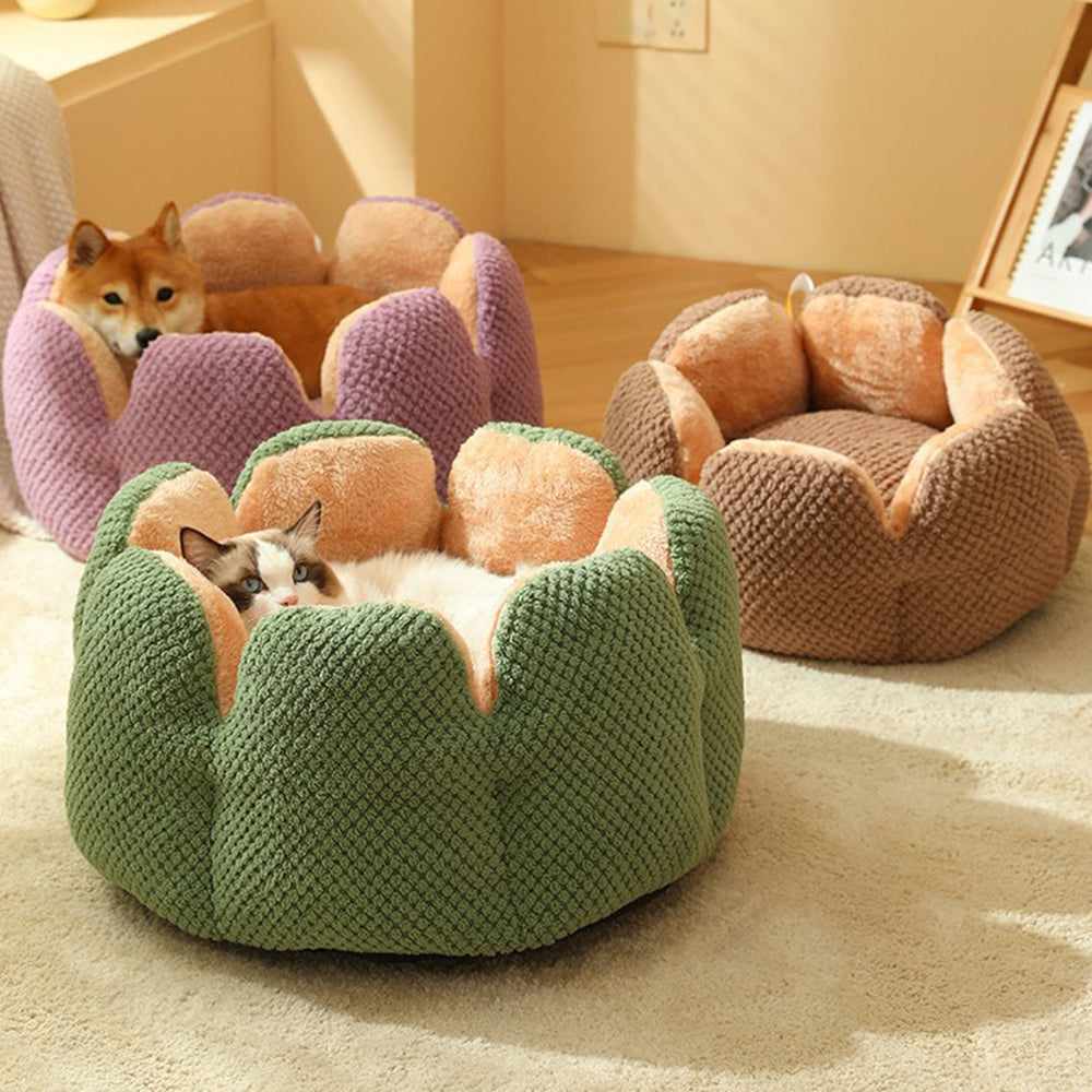 Cactus Petal Pet Bed