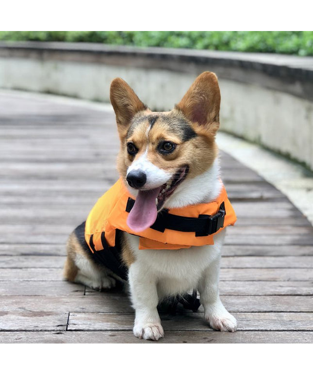 Shark Fin Dog Life Jacket