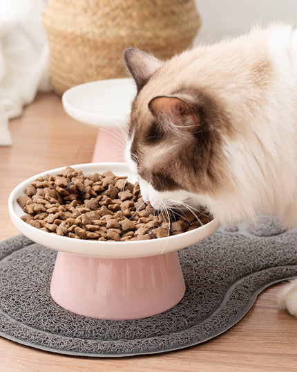Cat eating from raised ceramic cat bowl.