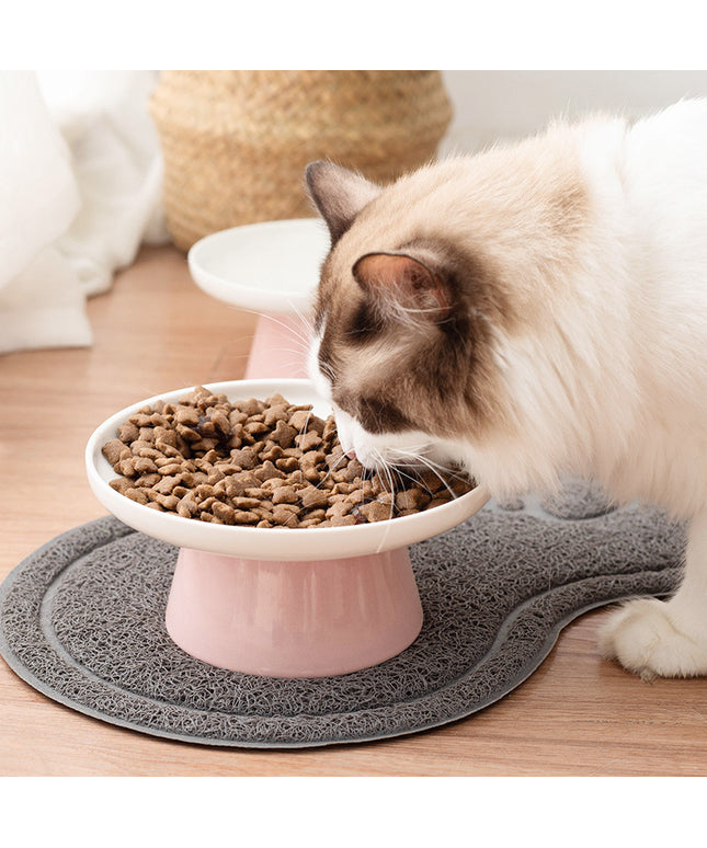 Cat eating from raised ceramic cat bowl.
