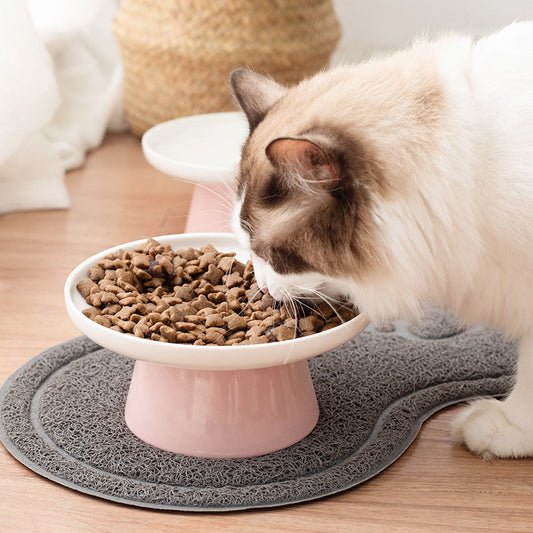 Cat eating from raised ceramic cat bowl.