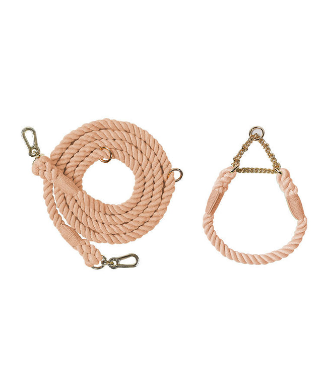 Twisted Double Head Pet Leash and Collar Set