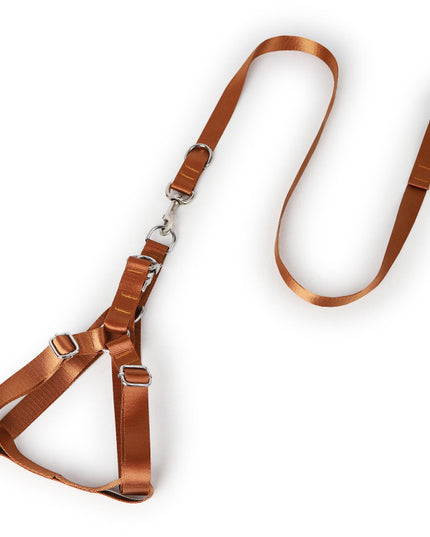 Earth Tone Alloy Buckle Nylon Dog Harness and Leash Set