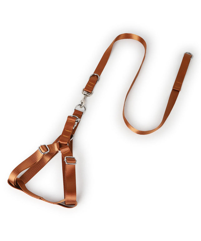 Earth Tone Alloy Buckle Nylon Dog Harness and Leash Set