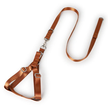 Earth Tone Alloy Buckle Nylon Dog Harness and Leash Set