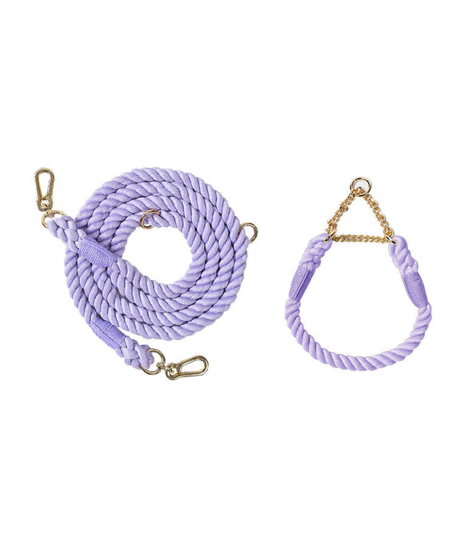 Twisted Double Head Pet Leash and Collar Set