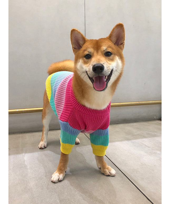 Rainbow Knit Striped Dog Sweater