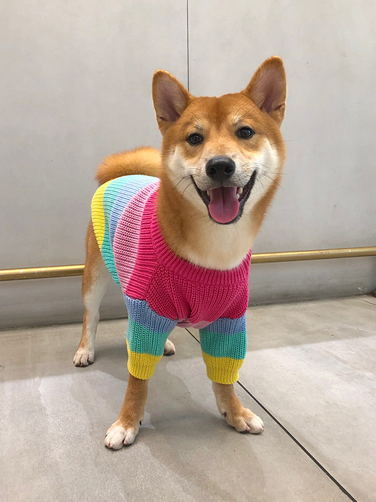 Rainbow Knit Striped Dog Sweater