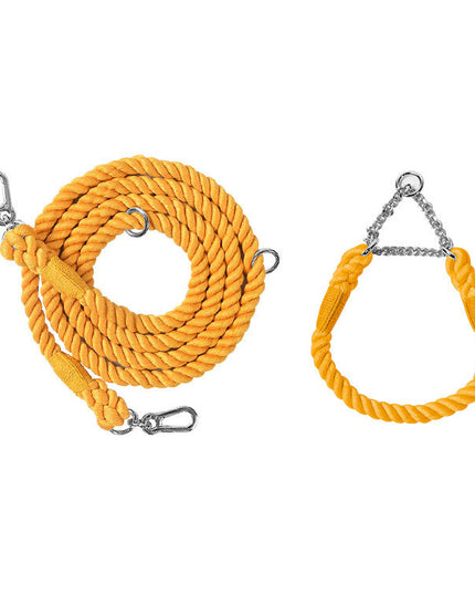 Twisted Double Head Pet Leash and Collar Set