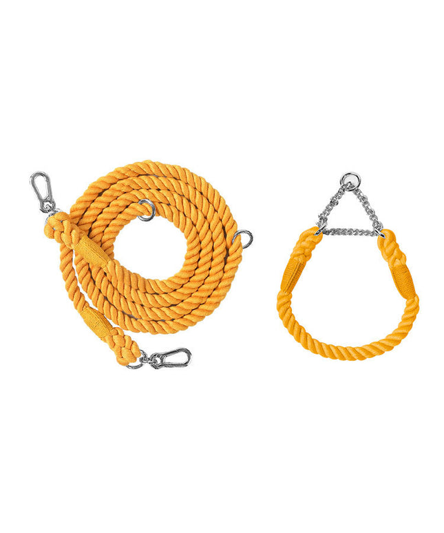 Twisted Double Head Pet Leash and Collar Set