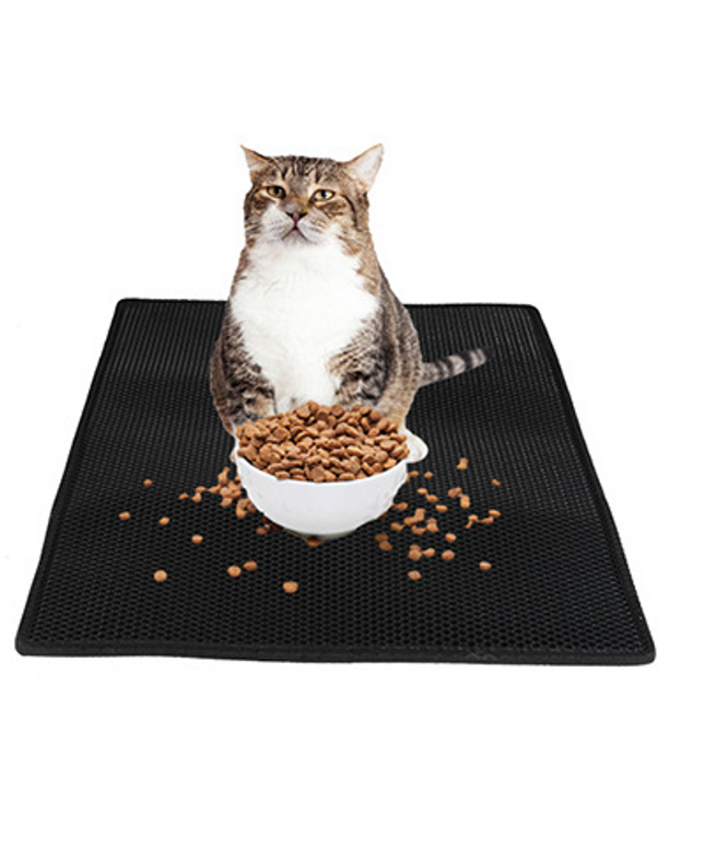 Double-Layer Cat Litter Mat