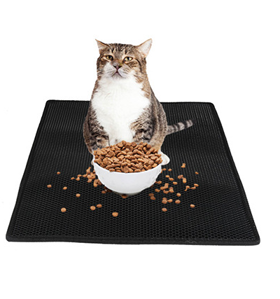 Double-Layer Cat Litter Mat