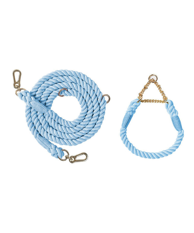 Twisted Double Head Pet Leash and Collar Set