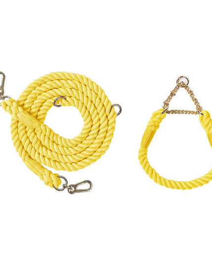 Twisted Double Head Pet Leash and Collar Set