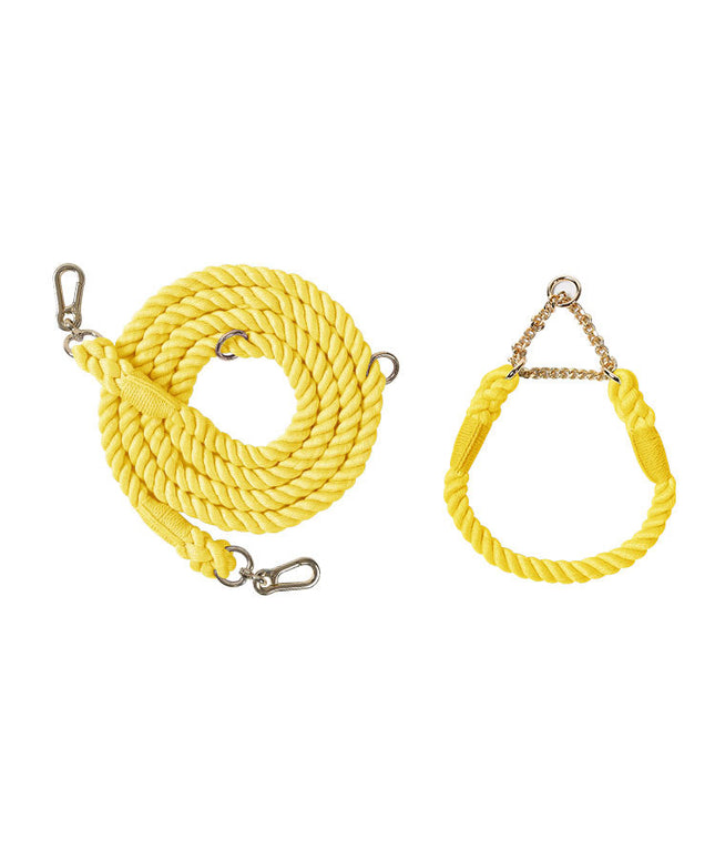 Twisted Double Head Pet Leash and Collar Set