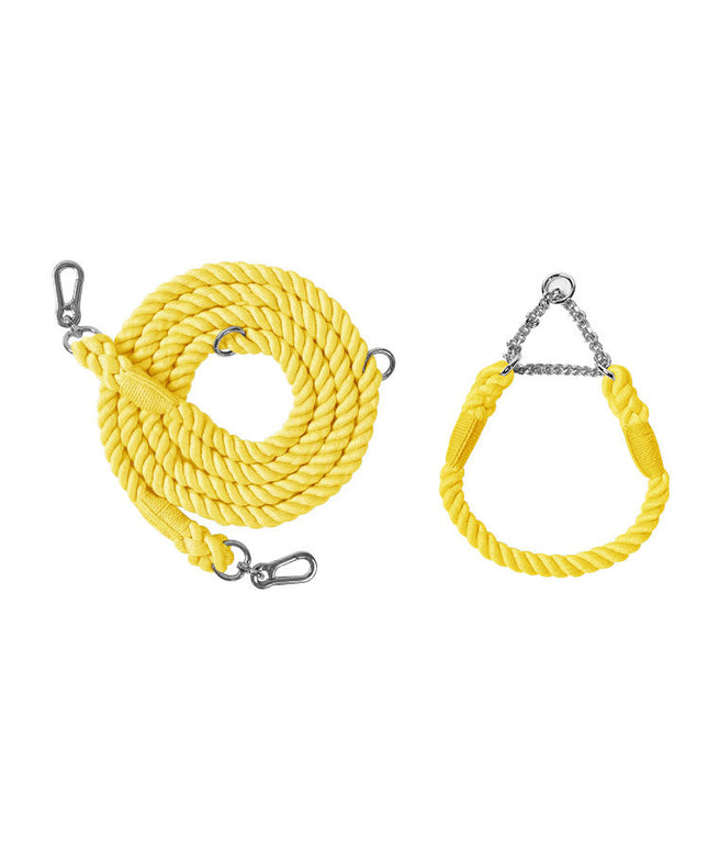Twisted Double Head Pet Leash and Collar Set