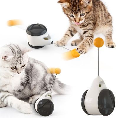 Electronic Swinging Cat Toy