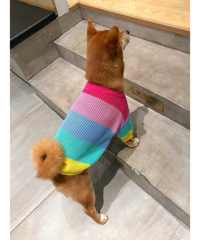 Rainbow Knit Striped Dog Sweater