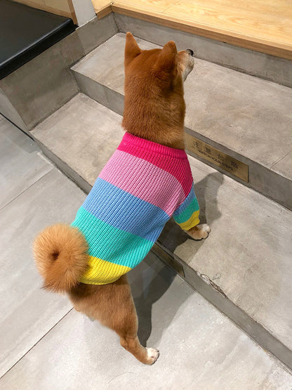 Rainbow Knit Striped Dog Sweater