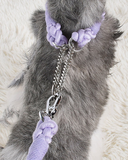 Twisted Double Head Pet Leash and Collar Set
