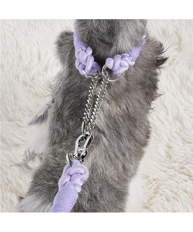 Twisted Double Head Pet Leash and Collar Set