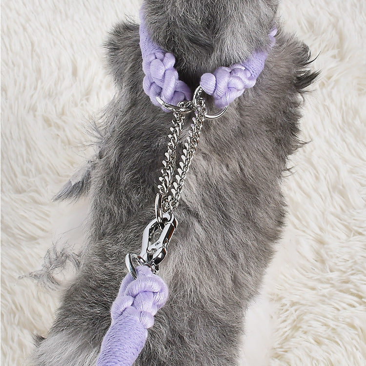 Twisted Double Head Pet Leash and Collar Set