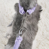 Twisted Double Head Pet Leash and Collar Set