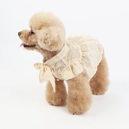 Embroidered Chiffon Pet Dress