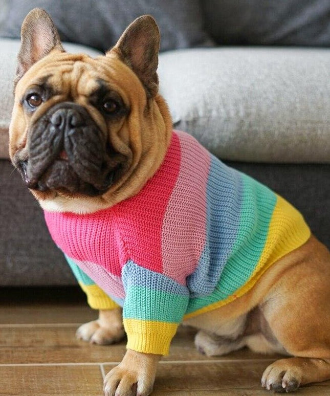 Rainbow Knit Striped Dog Sweater