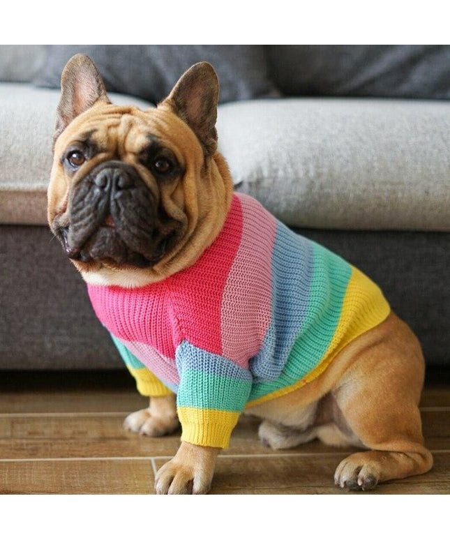 Rainbow Knit Striped Dog Sweater