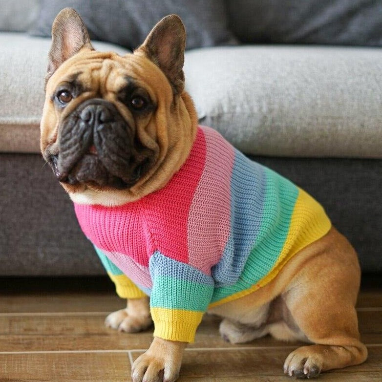 Rainbow Knit Striped Dog Sweater