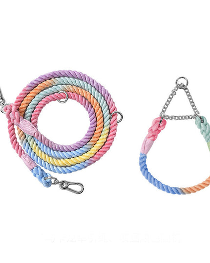 Twisted Double Head Pet Leash and Collar Set