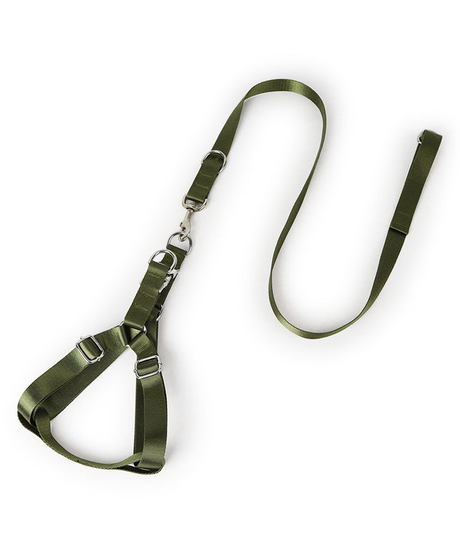 Earth Tone Alloy Buckle Nylon Dog Harness and Leash Set