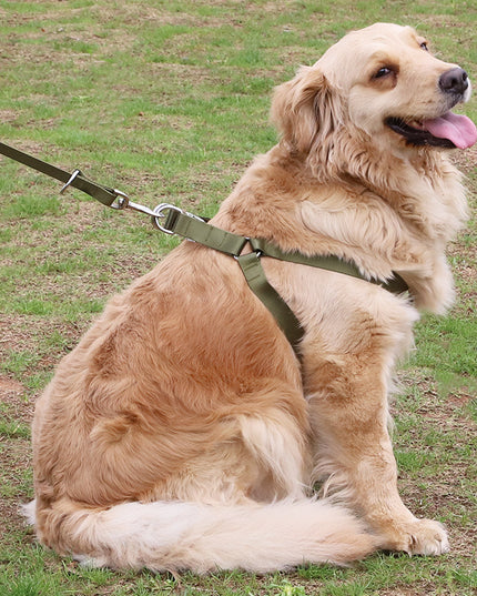 Earth Tone Alloy Buckle Nylon Dog Harness and Leash Set