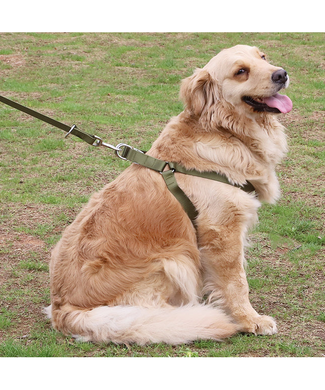 Earth Tone Alloy Buckle Nylon Dog Harness and Leash Set