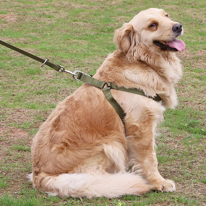 Earth Tone Alloy Buckle Nylon Dog Harness and Leash Set