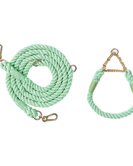 Twisted Double Head Pet Leash and Collar Set