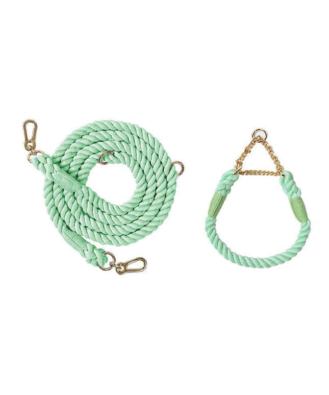 Twisted Double Head Pet Leash and Collar Set