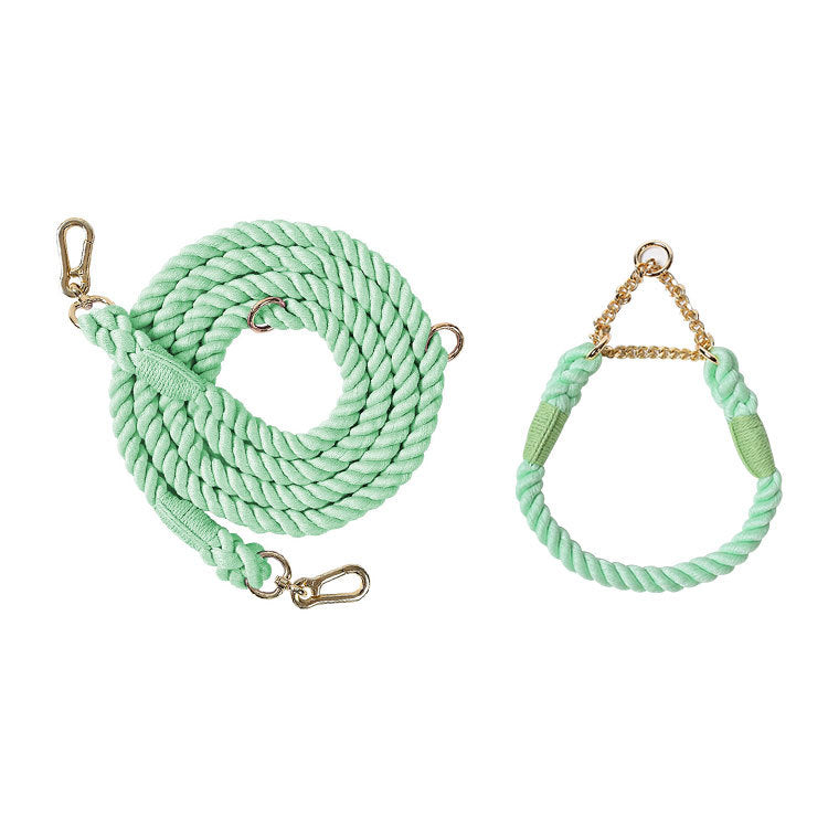 Twisted Double Head Pet Leash and Collar Set