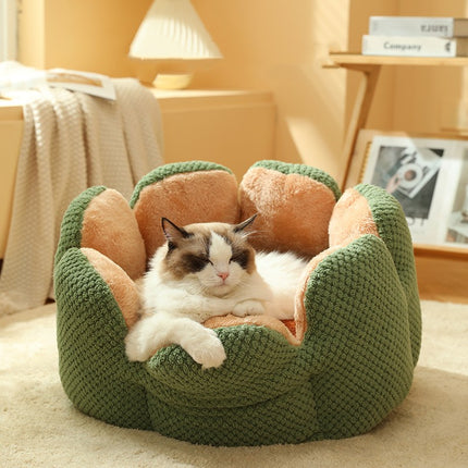 Collection image for: CAT