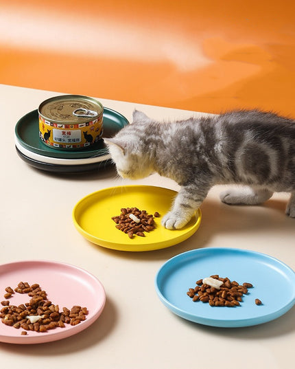 Kitten Eating Cat Food in Plate