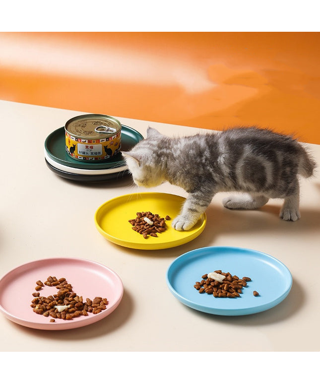 Kitten Eating Cat Food in Plate