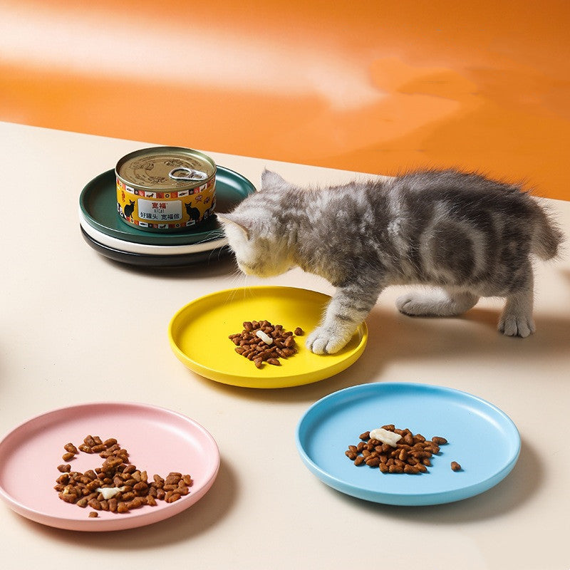 Kitten Eating Cat Food in Plate