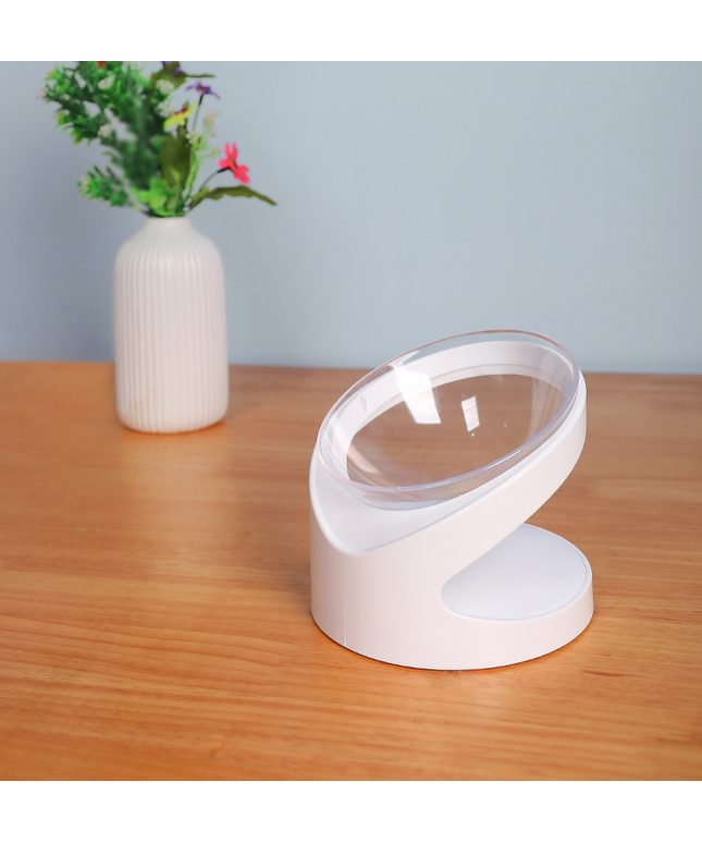 Sloped Ergonomic Pet Food Bowl